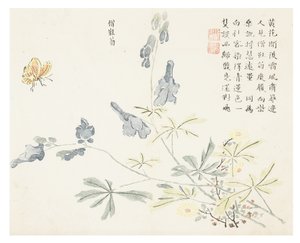 Jardim de sementes de mostarda de Chinese School