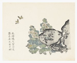 Jardim de sementes de mostarda de Chinese School