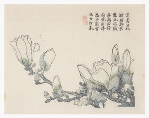 Jardim de sementes de mostarda de Chinese School