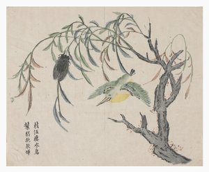 Jardim de Sementes de Mostarda de Chinese School