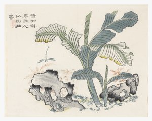 Jardim de Sementes de Mostarda de Chinese School