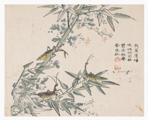 Jardim de Sementes de Mostarda de Chinese School