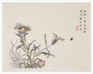 Jardim de Sementes de Mostarda de Chinese School