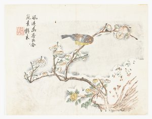 Jardim de Sementes de Mostarda de Chinese School