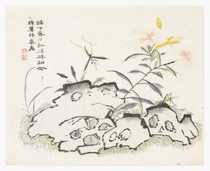 Jardim de Sementes de Mostarda de Chinese School