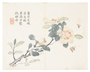 Jardim de Sementes de Mostarda de Chinese School