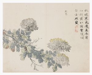Jardim de Sementes de Mostarda de Chinese School