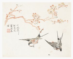 Jardim de Sementes de Mostarda de Chinese School