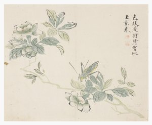 Jardim de Sementes de Mostarda de Chinese School