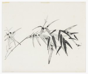 Ten Bamboo Series, século 18 de Chinese School