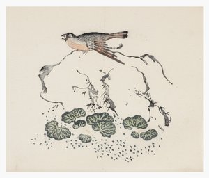 Ten Bamboo Series, século 18 de Chinese School