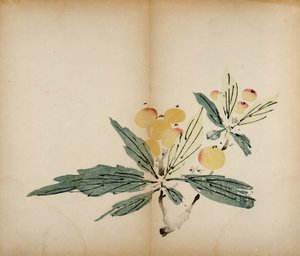 Dez estampas de estúdio de bambu, 1643 (xilogravura) de Chinese School