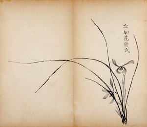 Dez estampas de estúdio de bambu, 1643 (xilogravura) de Chinese School