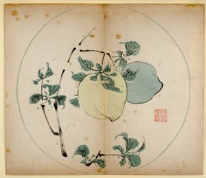 Dez estampas de estúdio de bambu, 1643 (xilogravura) de Chinese School