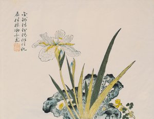 O jardim tão grande quanto um grão de mostarda, do século XVII ao XVIII de Chinese School