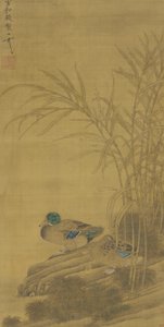 Dois, patos, entre, canas, em, a, águas, borda, Ming, ou, Qing, dinastia, 15º-18º século