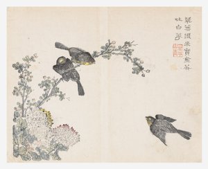 Jardim de Sementes de Mostarda de Ching-yu Chiu