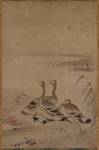 Ganso selvagem de Chōkichi