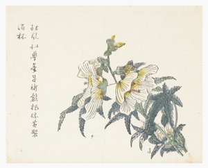 Jardim de Sementes de Mostarda de Chou Huang (after)