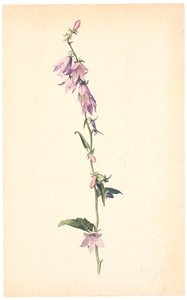 Campânula de Christen Dalsgaard