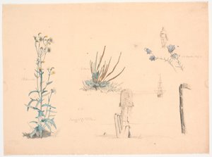 Estudos de plantas. Uma ponte de balneário e um navio de Christen Dalsgaard