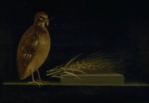 Uma codorna comendo uma espiga de milho de Christen Købke