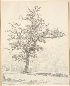 Lote de um jardim de Christen Købke
