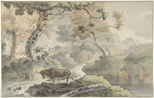 Paisagem da floresta com touro