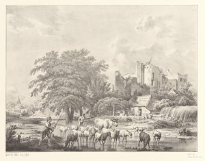 Rebanho de gado perto das ruínas do Castelo de Brederode