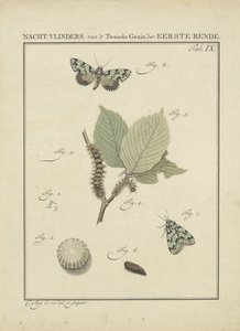 mariposas Mariposas da Segunda Família da Primeira Gangue (título no objeto) de Christiaan Sepp
