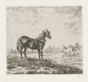 Paisagem com três cavalos