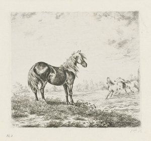 Paisagem com três cavalos