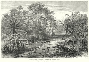 Caminho através das selvas de Zulia, Venezuela (litho) de Christian Anton Goering