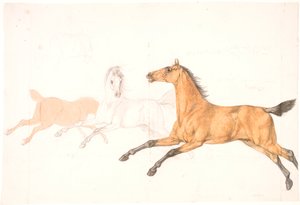 3 cavalos correndo
