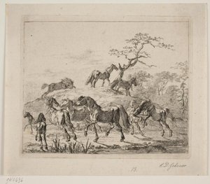 Cavalo de garanhão