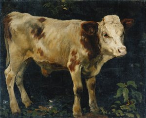Um bezerro de touro, 1876