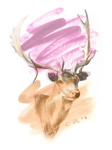 Cabeça de veado - Cerise Sienna, 2004 (óleo e conte sobre papel) de Christian Furr