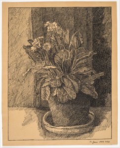 vaso de flores com prímula de Christian Kongstad Petersen