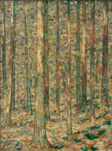 Troncos de pinheiro à luz do sol de Christian Rohlfs