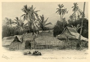 Floresta. de Christian Wilhelm Allers