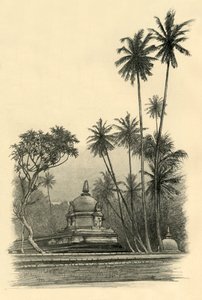 Floresta. de Christian Wilhelm Allers
