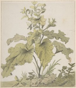  de Christian Wilhelm Ernst Dietrich