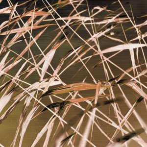 Padrões abstratos de junco de Christina Sillen