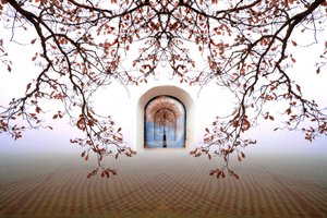 Arco de outono de sonho de Christina Sillen