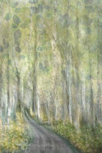 Caminho encantado na floresta de Christina Sillen