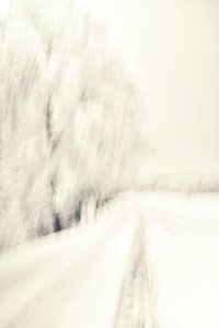 Caminho de Inverno de Sonho de Christina Sillen