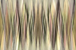 Linhas abstratas com tons terrosos de Christina Sillen