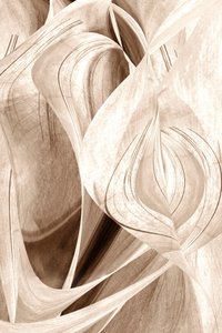 Curvas elegantes e fluidas de Christina Sillen
