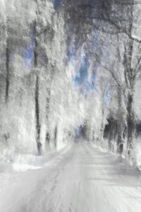 Caminho Nevado Etéreo de Christina Sillen