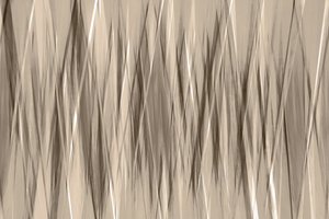 Linhas neutras fluidas de Christina Sillen